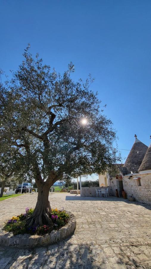 Casa Relax Isabelle Bed & Breakfast Alberobello Luaran gambar